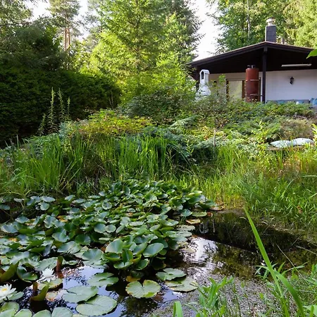 - Nähe Kaiserslautern Chalet Trippstadt