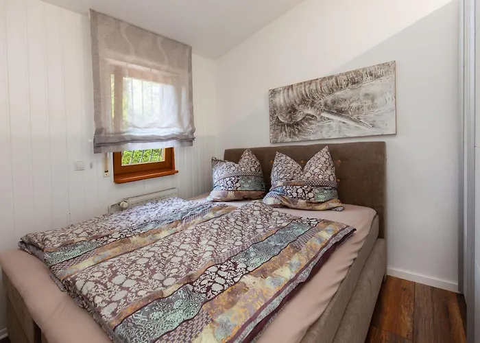 - Naehe Kaiserslautern 트립스타트