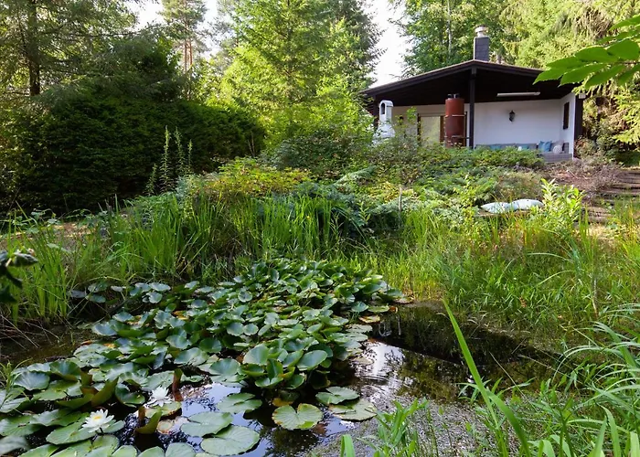 - Naehe Kaiserslautern 샬레 트립스타트